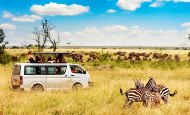 Wild Heart of Africa: Kenya Safari Tour