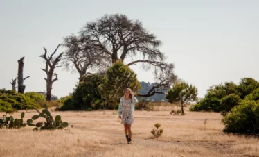 Cape to Kruger: The Best of South Africa